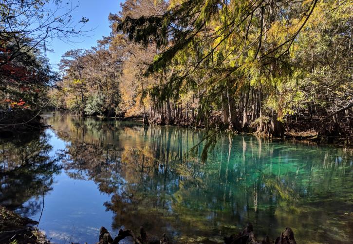 Manatee Springs State Park